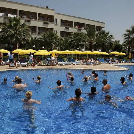 Aska Bayview Okurcalar