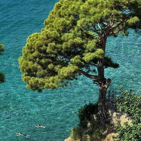 Aska Bayview 4* Okurcalar