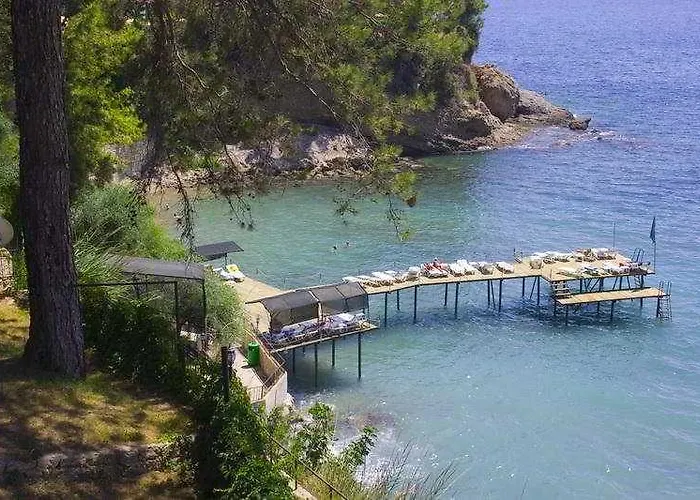 Aska Bayview